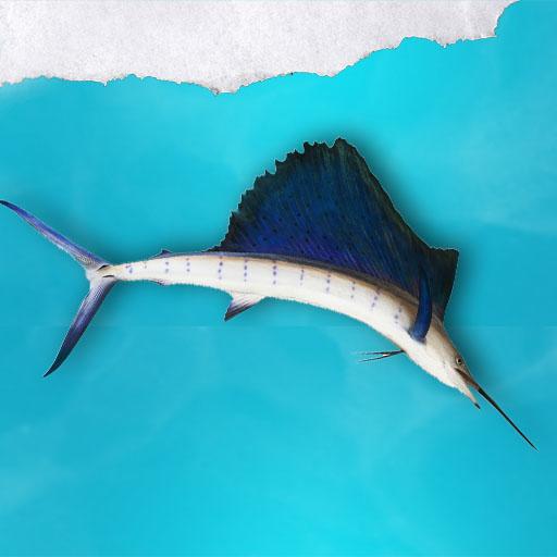 Sail Fish [TN]
